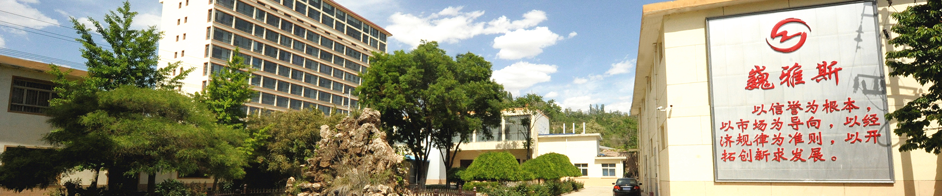 巍雅斯開(kāi)創(chuàng)于1976年，50年來(lái)，在黨的改革開(kāi)放政策指引下，始終堅(jiān)持“以信譽(yù)為根本、以市場(chǎng)為導(dǎo)向、以經(jīng)濟(jì)規(guī)律為準(zhǔn)則、以開(kāi)拓創(chuàng)新求發(fā)展”，與甘肅、寧夏、青海、陜西、西藏、內(nèi)蒙等六省區(qū)80多家大型零售商場(chǎng)建立了長(zhǎng)期友好的合作關(guān)系。